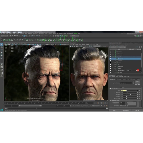 Установка Autodesk Maya