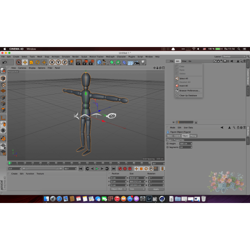 Установка Maxon Cinema 4D Studio на Mac