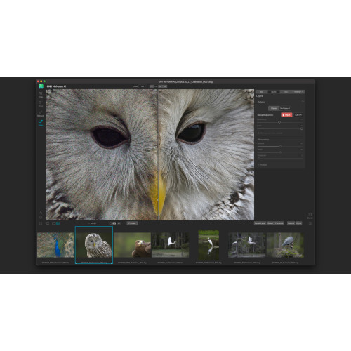 Установка ON1 NoNoise AI