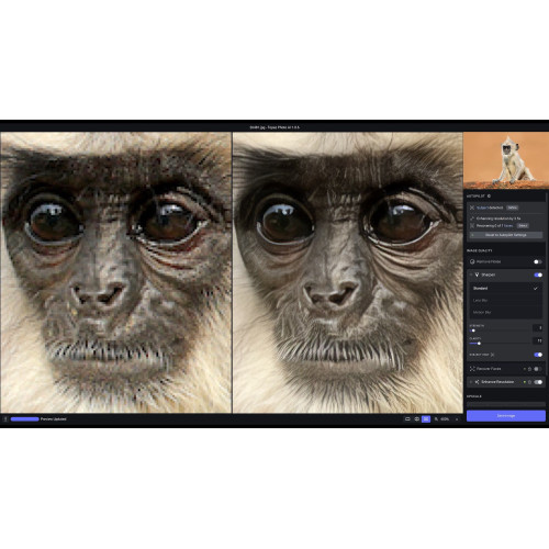 Установка Topaz Photo AI